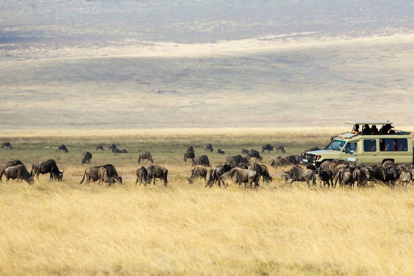 3 Days Serengeti National Park